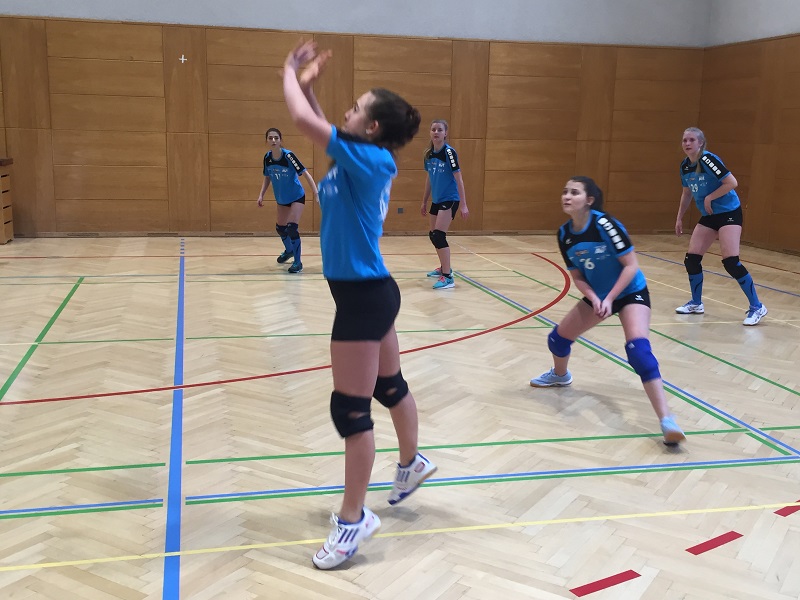 volleyball landesmeister04